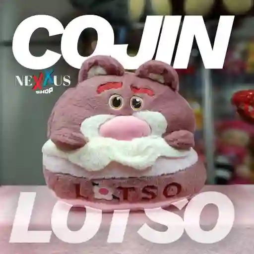 Cojin Lotso