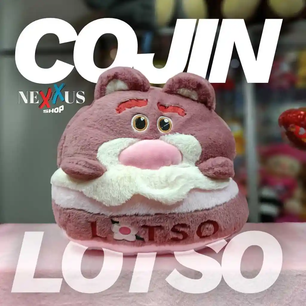 Cojin Lotso