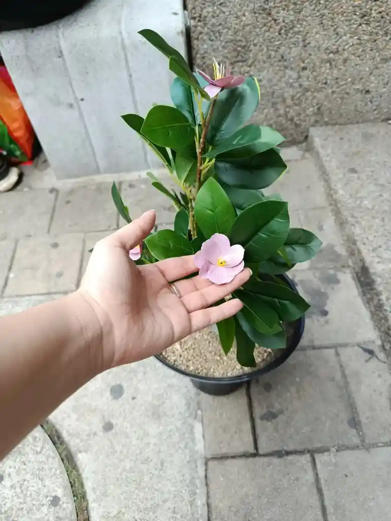 Planta Magnolia Lila Artificial 55cm