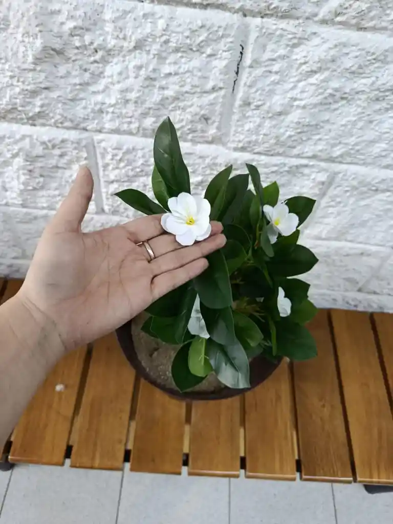 Planta Magnolia Blanca Artificial 55 cm – Elegancia Floral