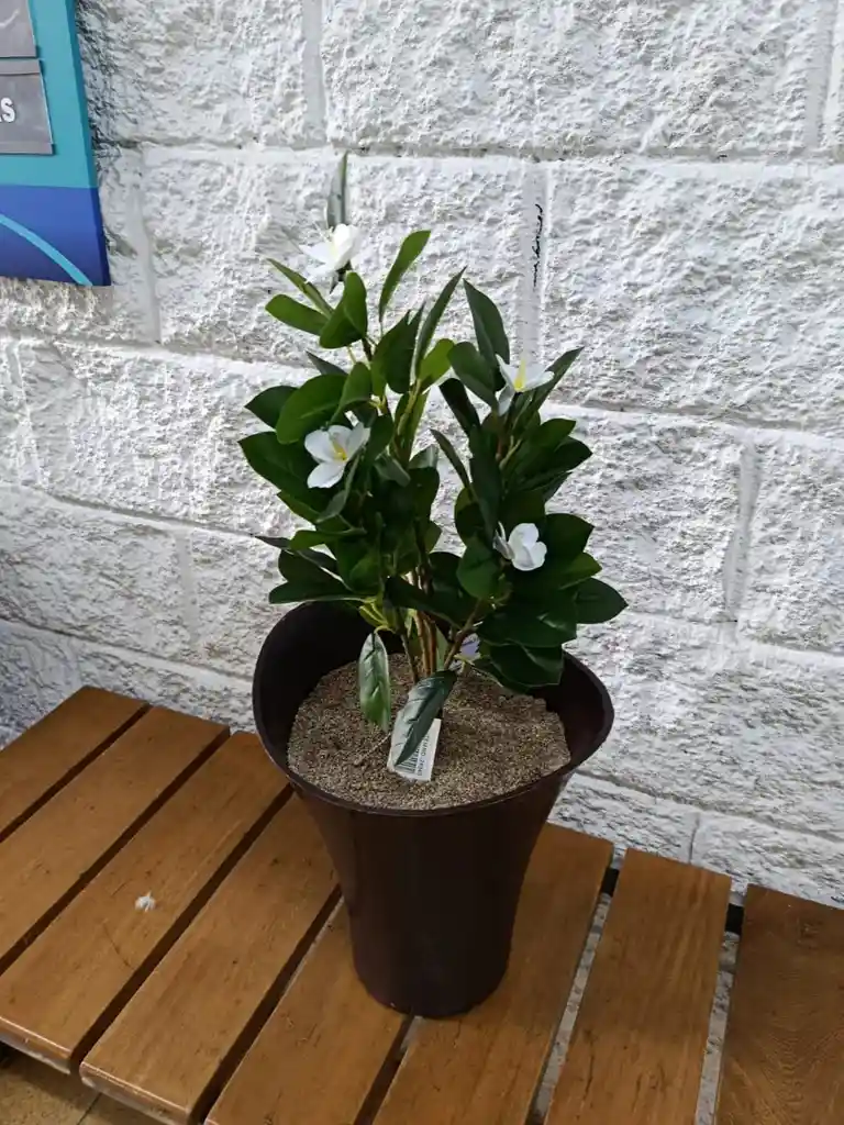 Planta Magnolia Blanca Artificial 55 cm – Elegancia Floral