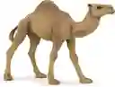 Figura Coleccionable Dromedario Pintada A Mano Papo