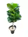 Planta Ficus Lyrata Artificial 1mts