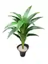 Planta Dracaena Fragans Artificial 1mts