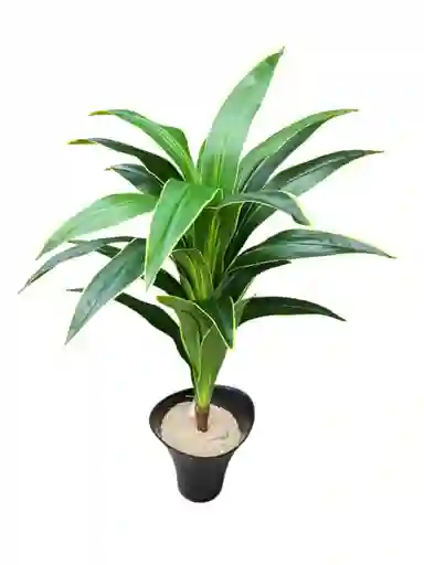 Planta Dracaena Fragans Artificial 1mts