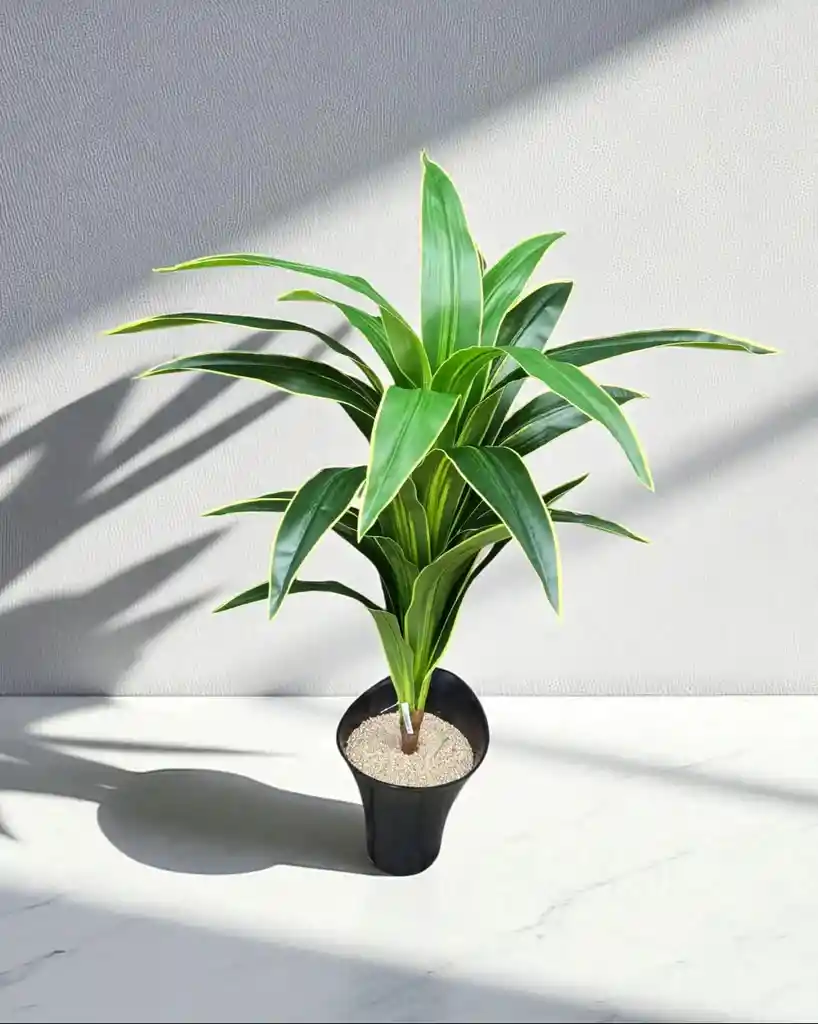 Planta Dracaena Fragans Artificial 1mts