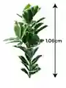 Planta Ficus Altissima Artificial 1.06mts