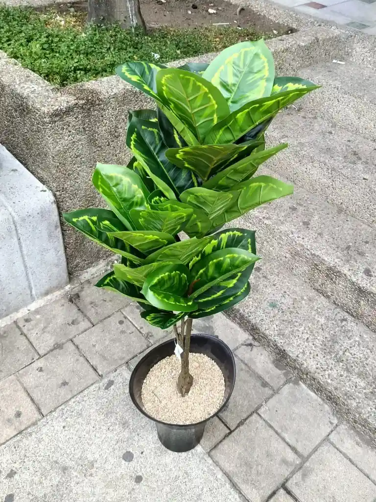 Planta Artificial Diefenbaquia 1mts