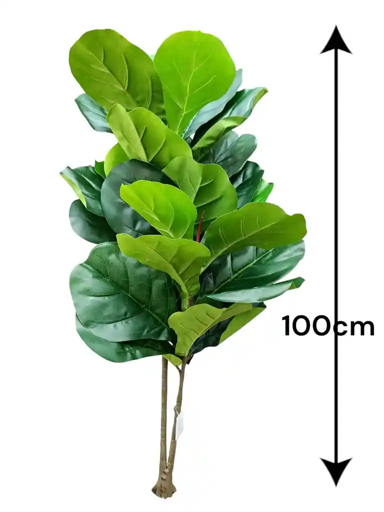 Planta Artificial Diefenbaquia 1mts