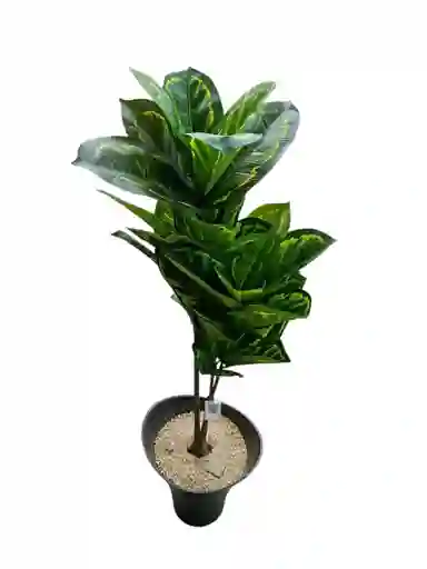 Planta Artificial Diefenbaquia 1mts
