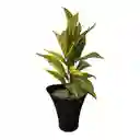 Planta Larga De Croton Artificial 70cm
