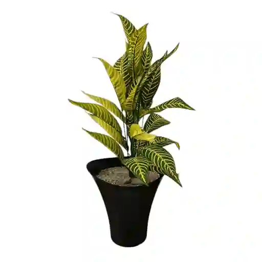 Planta Larga De Croton Artificial 70cm