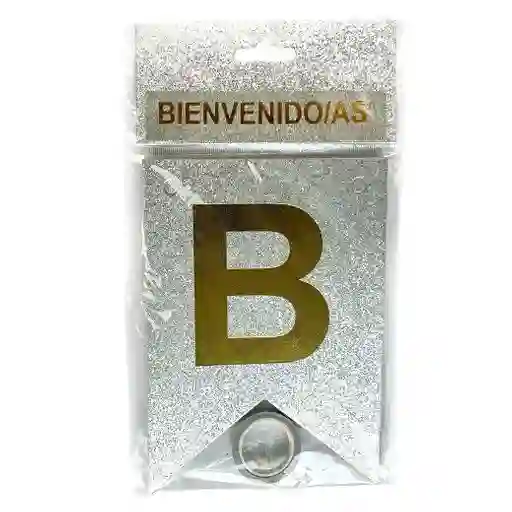 Bienvenidos Y Bienvenidas Guirnalda Letrero Escarchado Pequeñoplateado 17 X 12 Cm Cada Banderin