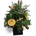 Caja De Pino Navideño Con Frutas Preservadas