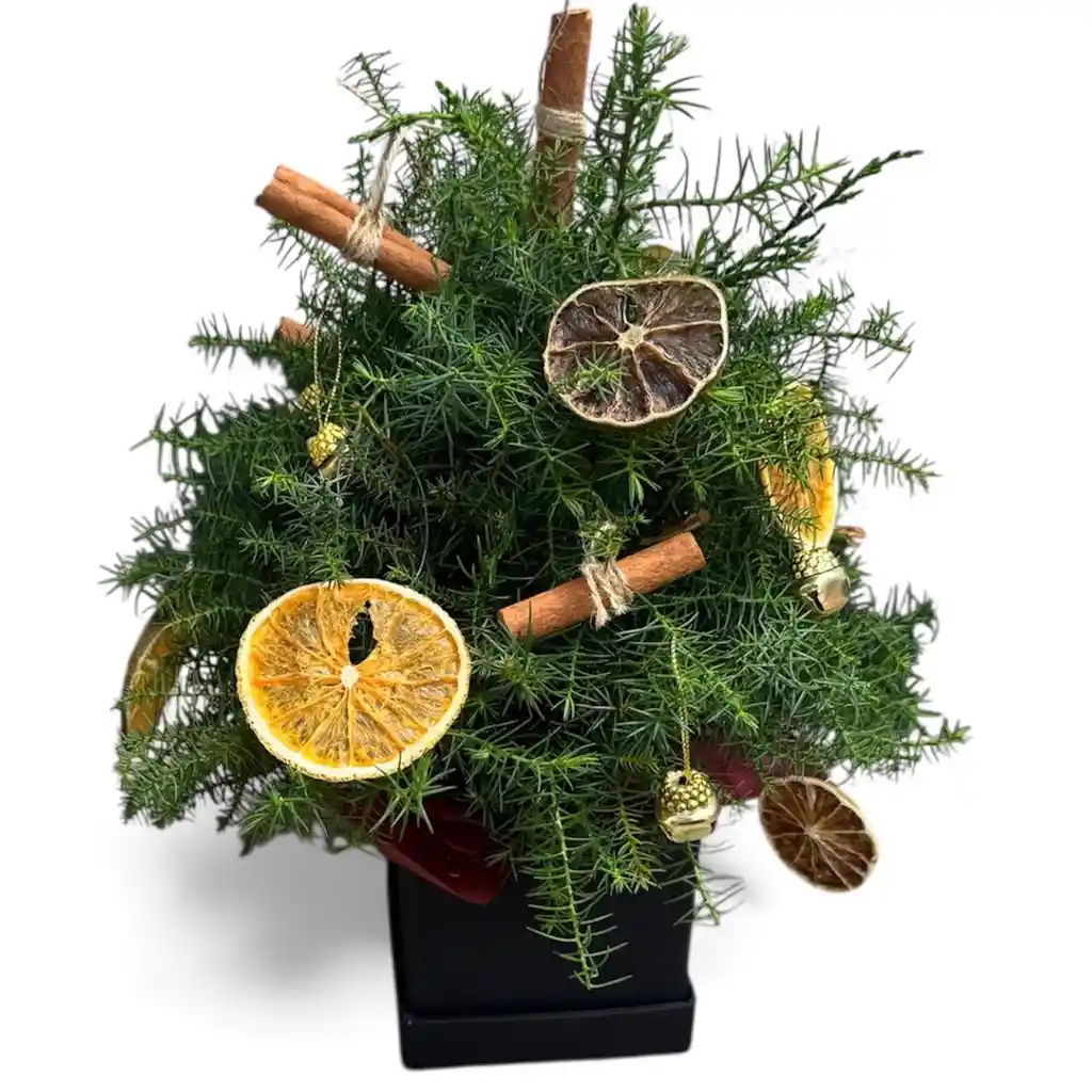 Caja De Pino Navideño Con Frutas Preservadas