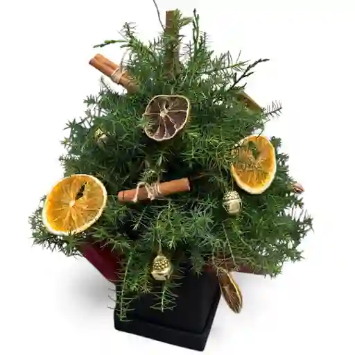 Caja De Pino Navideño Con Frutas Preservadas