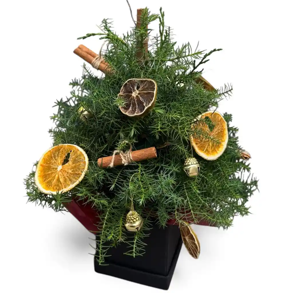 Caja De Pino Navideño Con Frutas Preservadas