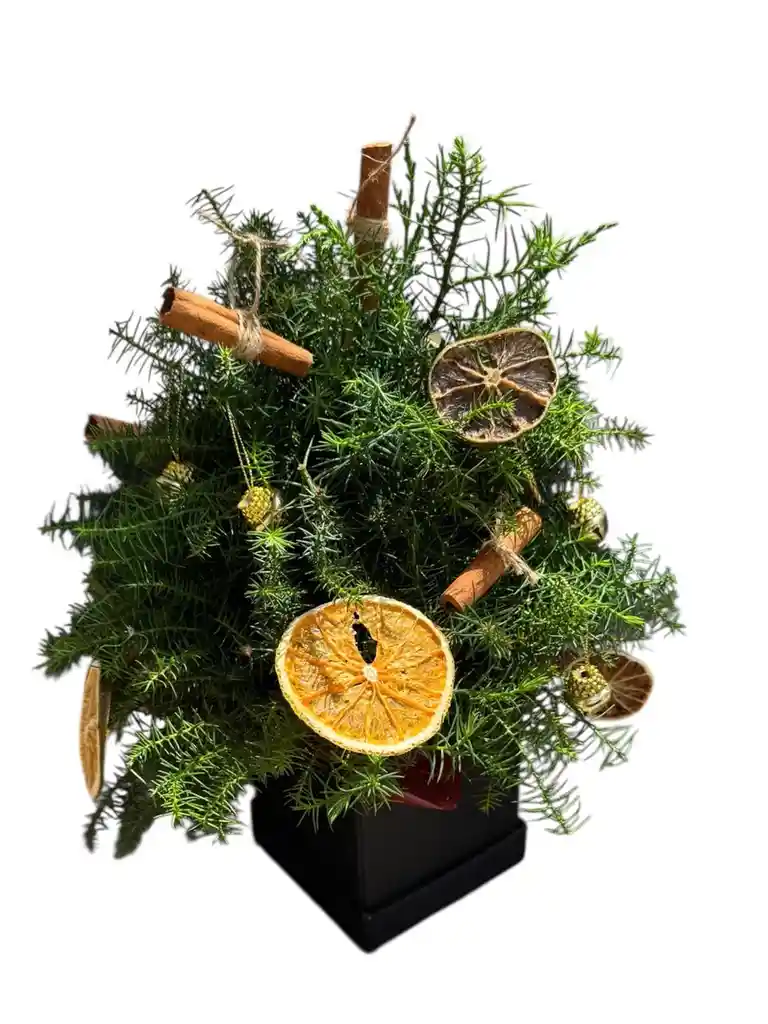 Caja De Pino Navideño Con Frutas Preservadas