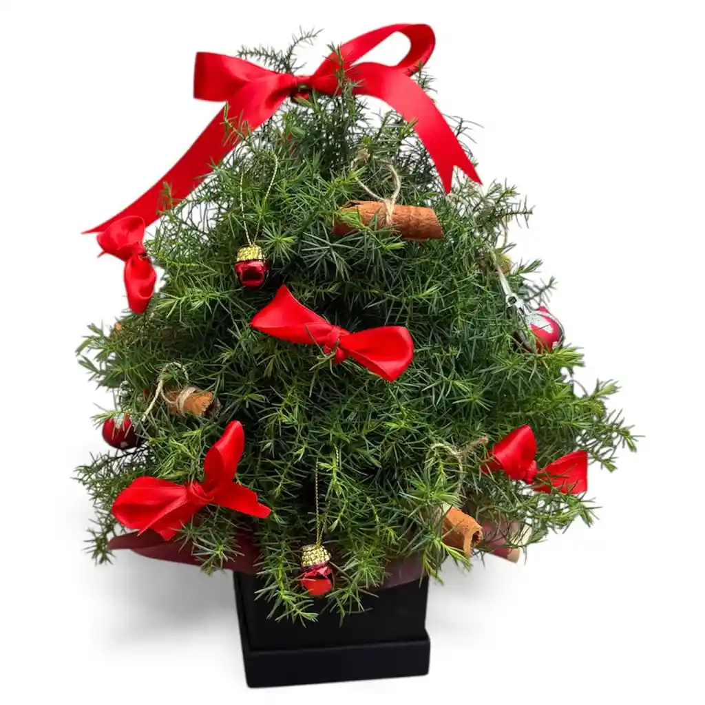 Caja Navideña Decoración Roja