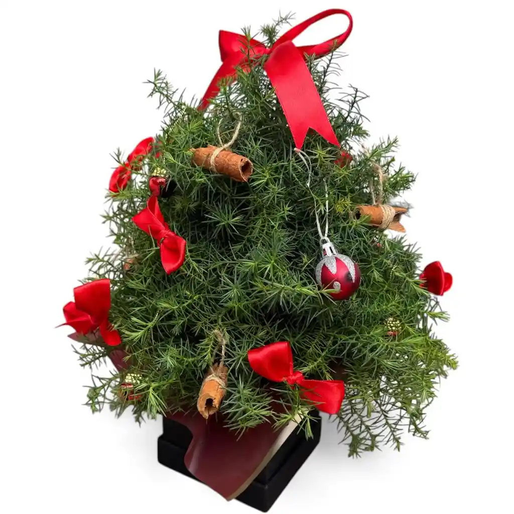 Caja Navideña Decoración Roja