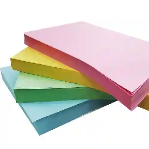 Ficha Bibliografica Paquete X 50 Colores Surtidos