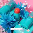 Rubor En Crema Summer Engol