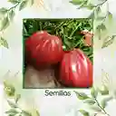 33 Semillas Orgánicas De Tomate Rosa Oaxaqueño