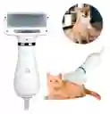 Cepillo Secador Para Mascotas 2 En 1 Portátil