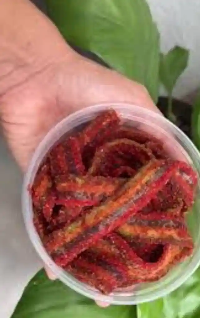 Cintas Acidas Manzana Melon Enchiladas