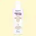 Matizante Cendre Beige 120ml