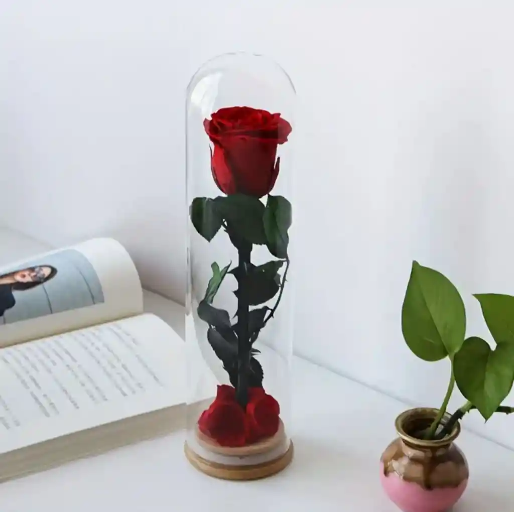 Rosa En Domo De Vidrio