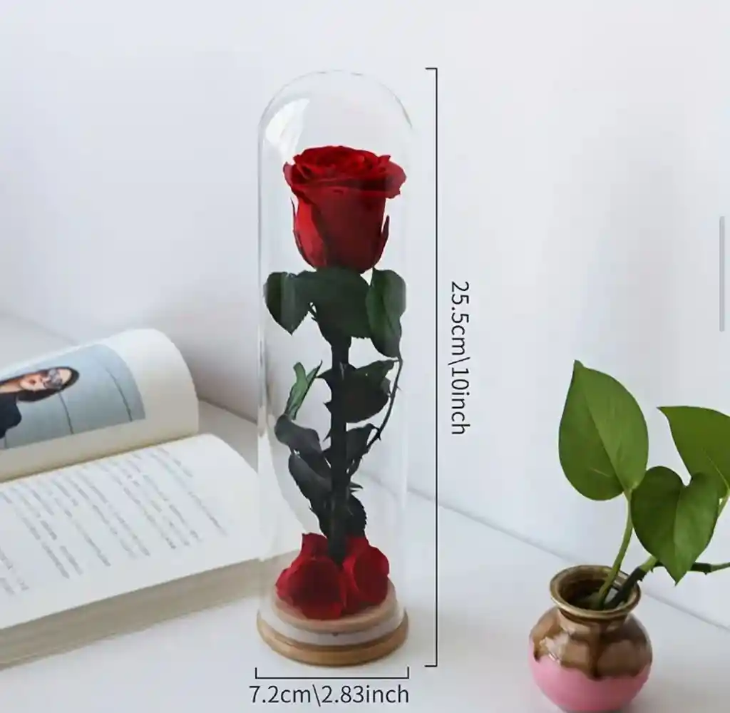 Rosa En Domo De Vidrio