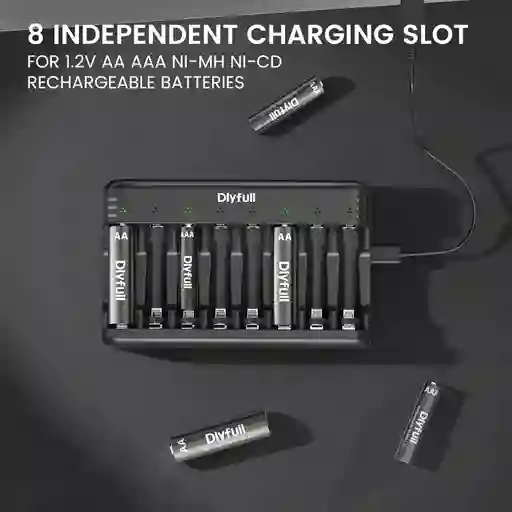 Cargador De Pilas Aa Y Aaa 8 Bahias Dlyfull