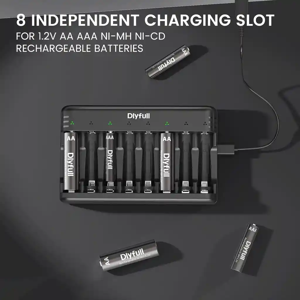 Cargador De Pilas Aa Y Aaa 8 Bahias Dlyfull