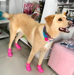 Botas Impermeables Talla L - Fucsias