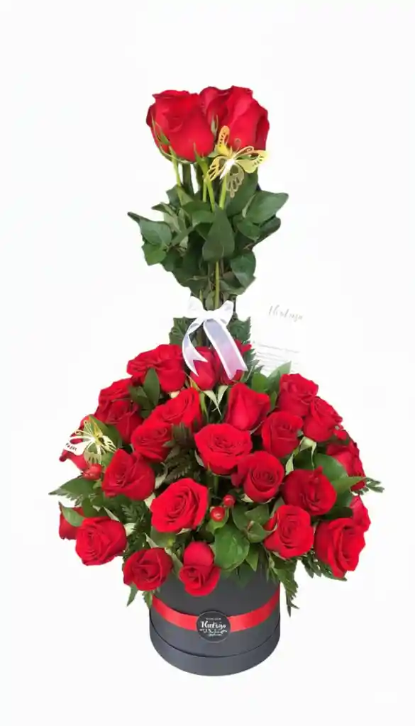 Base De 50 Rosas Rojas