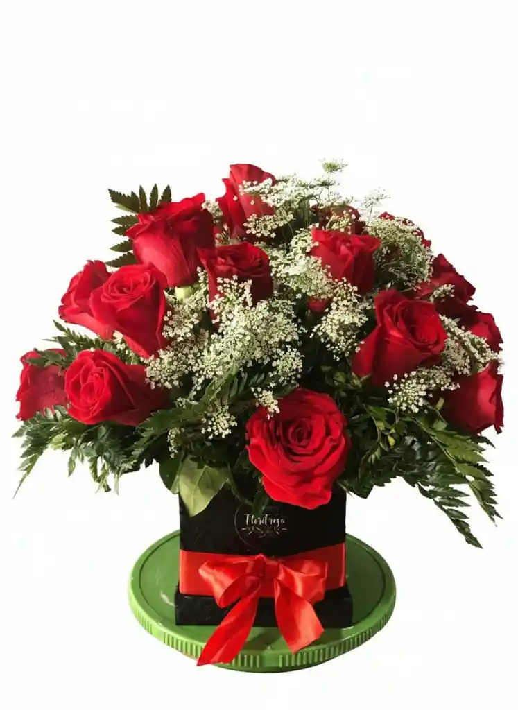 Base De 24 Rosas Rojas