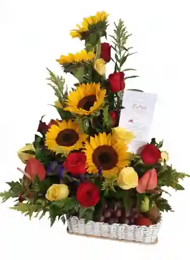 Frutero Rodas Y Girazoles