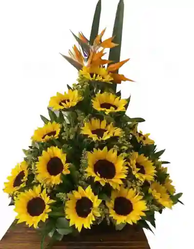 Arreglo De Girazoles