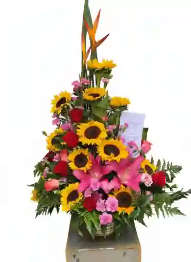 Arreglos Tropicales O Variados