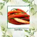 40 Semillas Orgánicas De Ají Serrano Tampiqueño