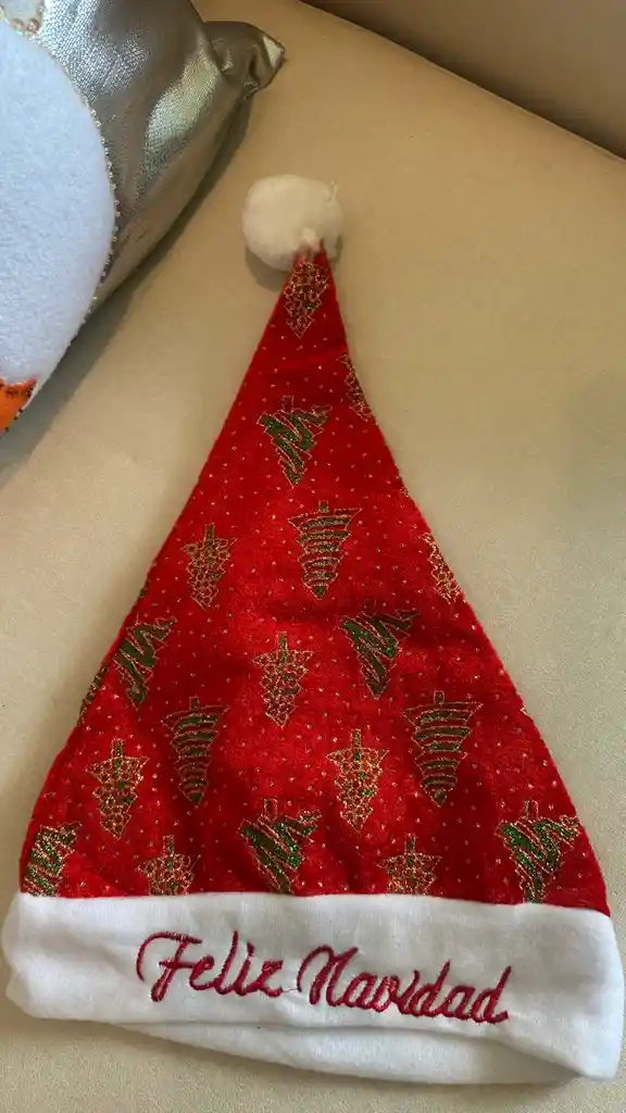 Gorro De Navidad Decorado