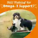 Aceite De Salmón Zesty Paws X 237 Ml