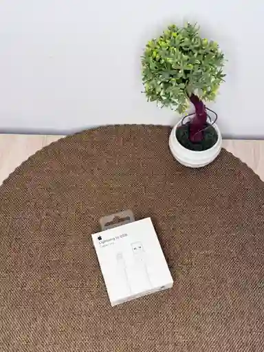 Cable De Iphone / Lightning To Usb 1 Metro