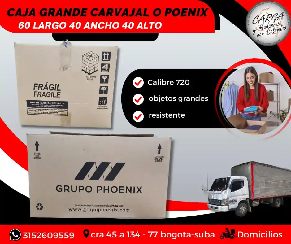 Caja De Carton Grande Carvajal O Poenix 60x40x40 Para Mudanza-empaque Y Embalaje