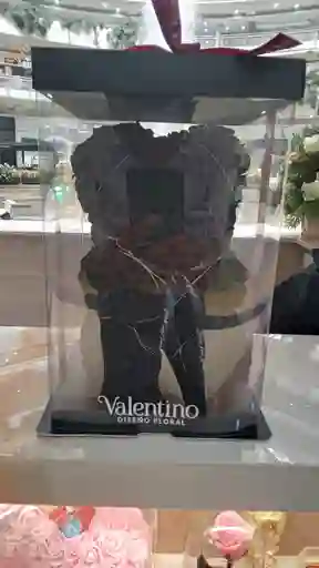 Oso Negro Pequeño Cintilla Negra