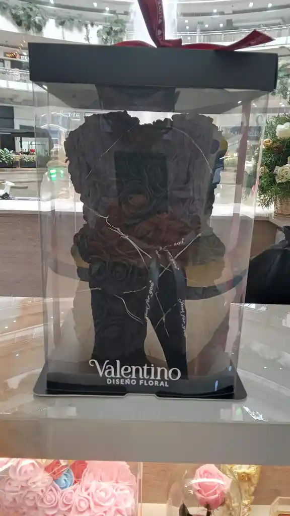 Oso Negro Pequeño Cintilla Negra