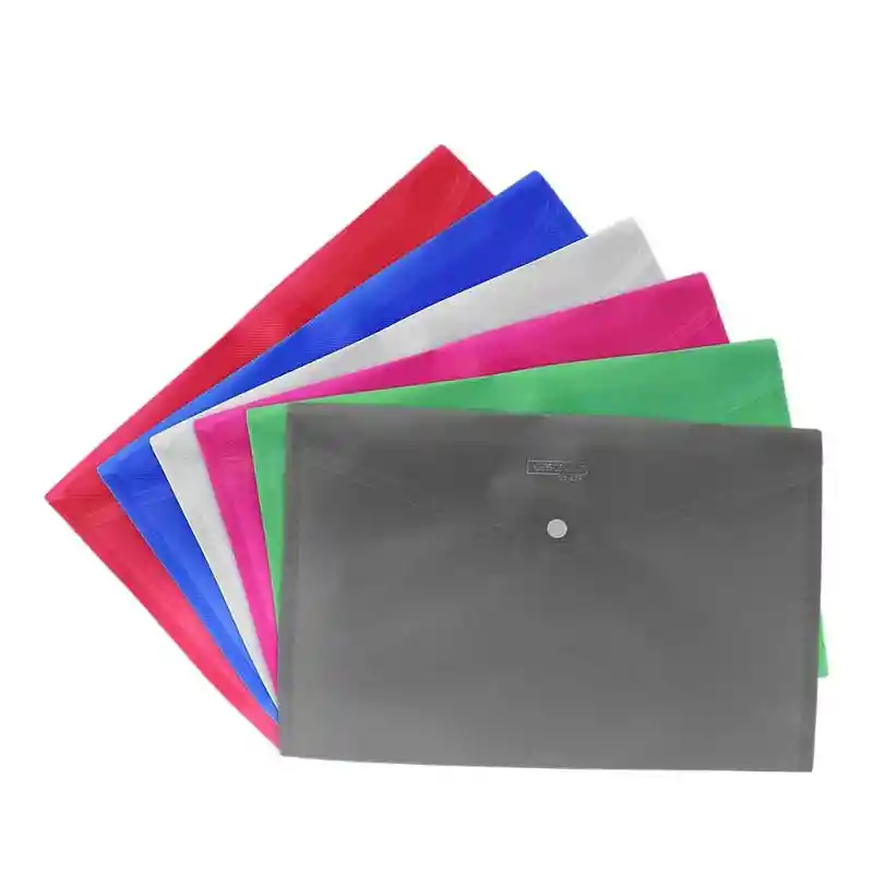 Carpeta Botón Plástica