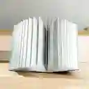 Diccionario Espasa - Economía Y Negocios - Arthur Andersen