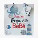 Bolsa De Regalo Baby Shower Niño